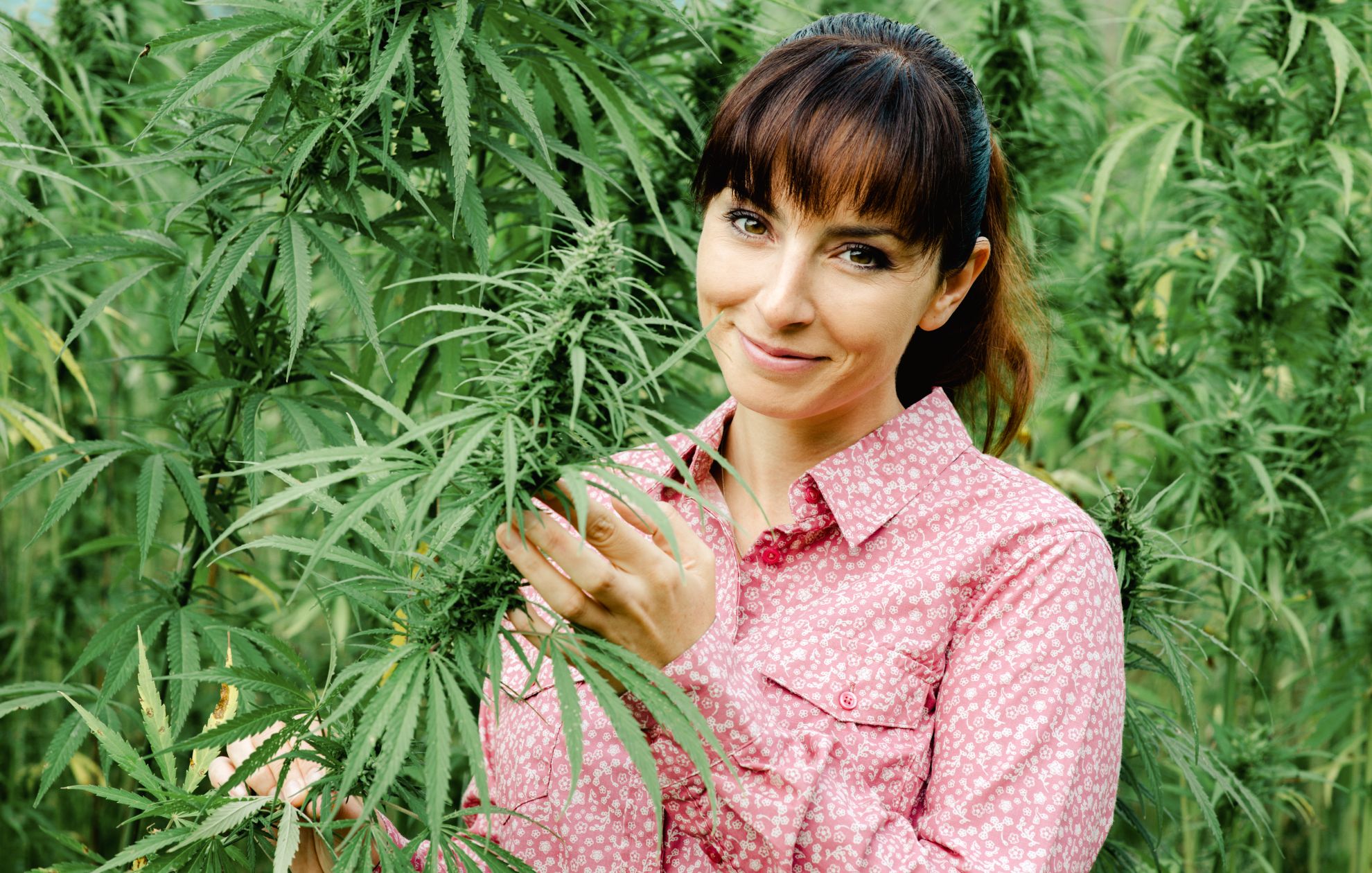 Woman holding hemp plant
