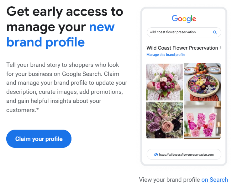 Google’s Brand Profiles 